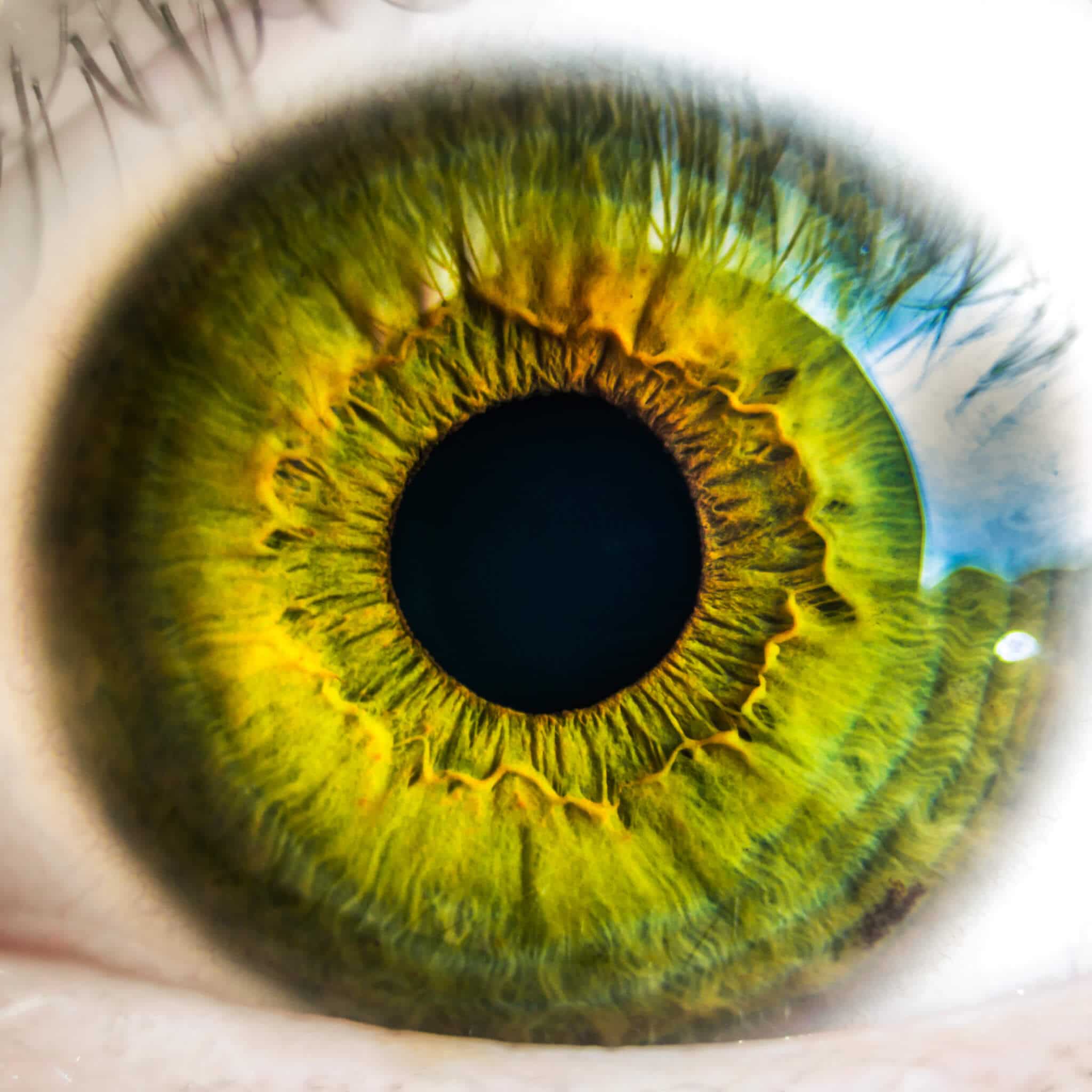 closeup of eye