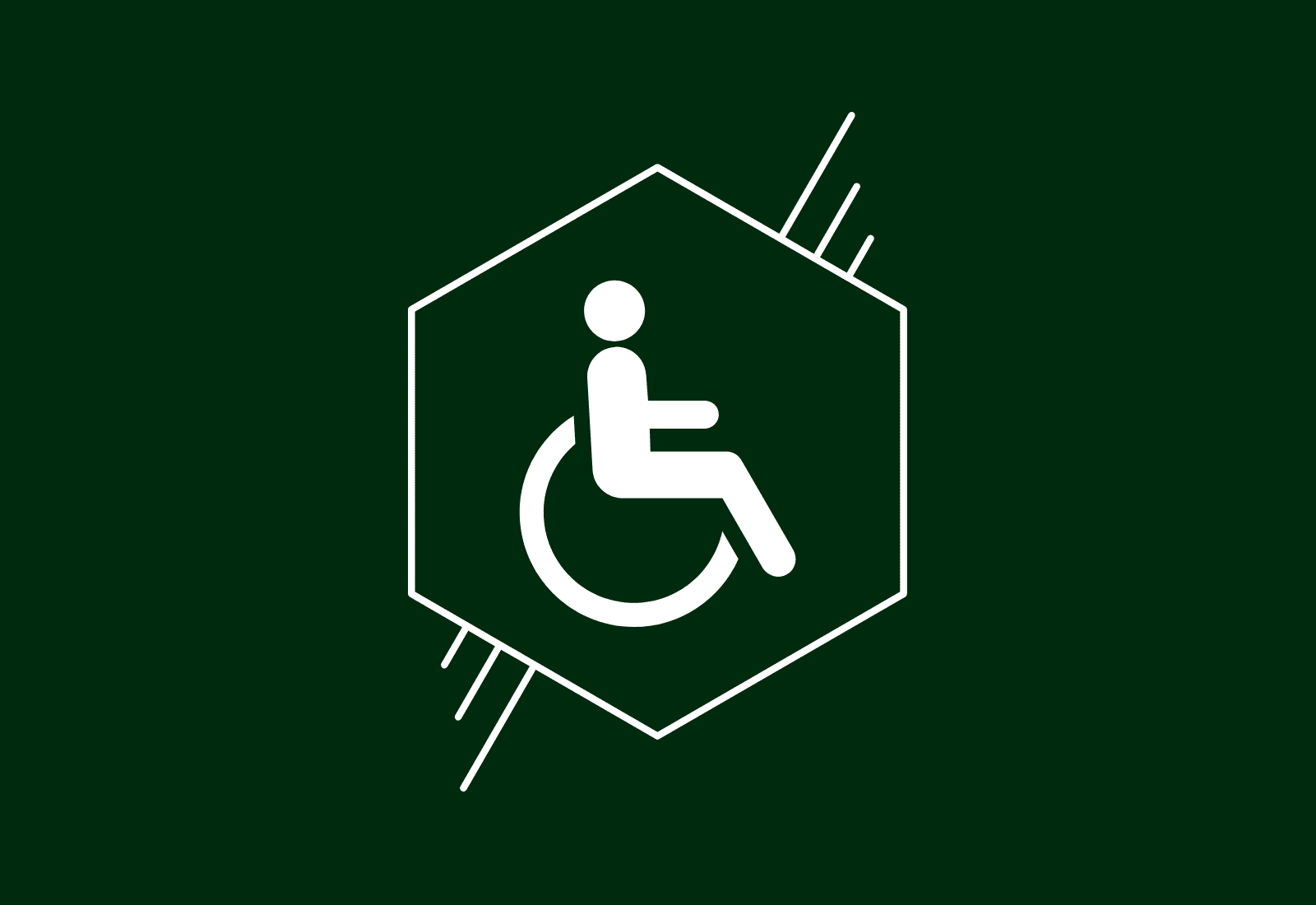 handicapped icon inside hexagon outline