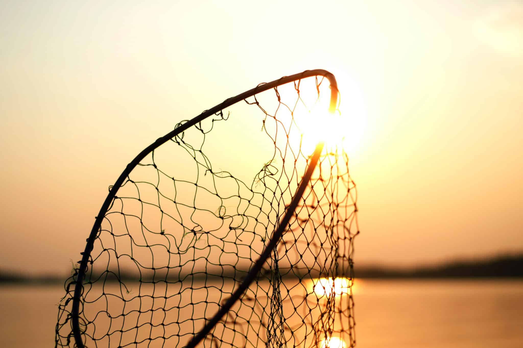 fishing net held up against sunset