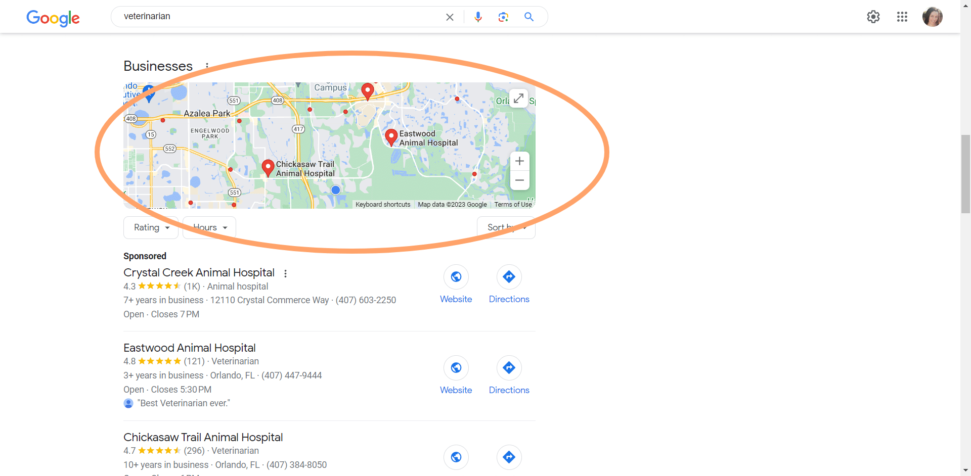 Google search results with map pack circled