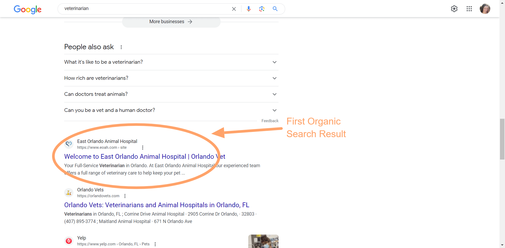 Google search results showing the first organic result circled underneath the Zero results.