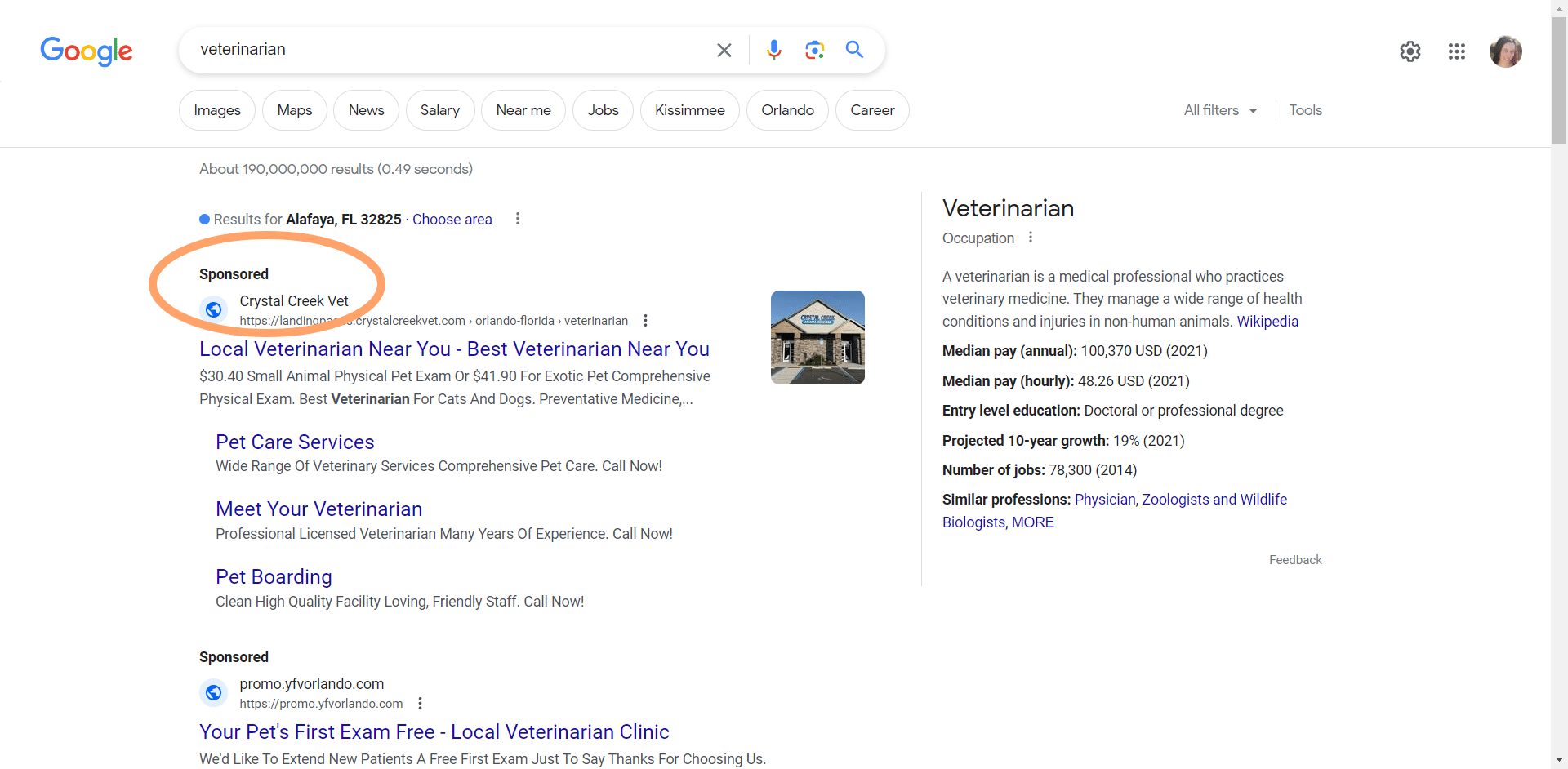 screenshot of Google search for the term "veterinarian" with Sponsored result circled